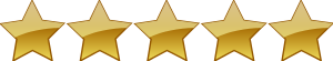 4.8 out of 5 rating